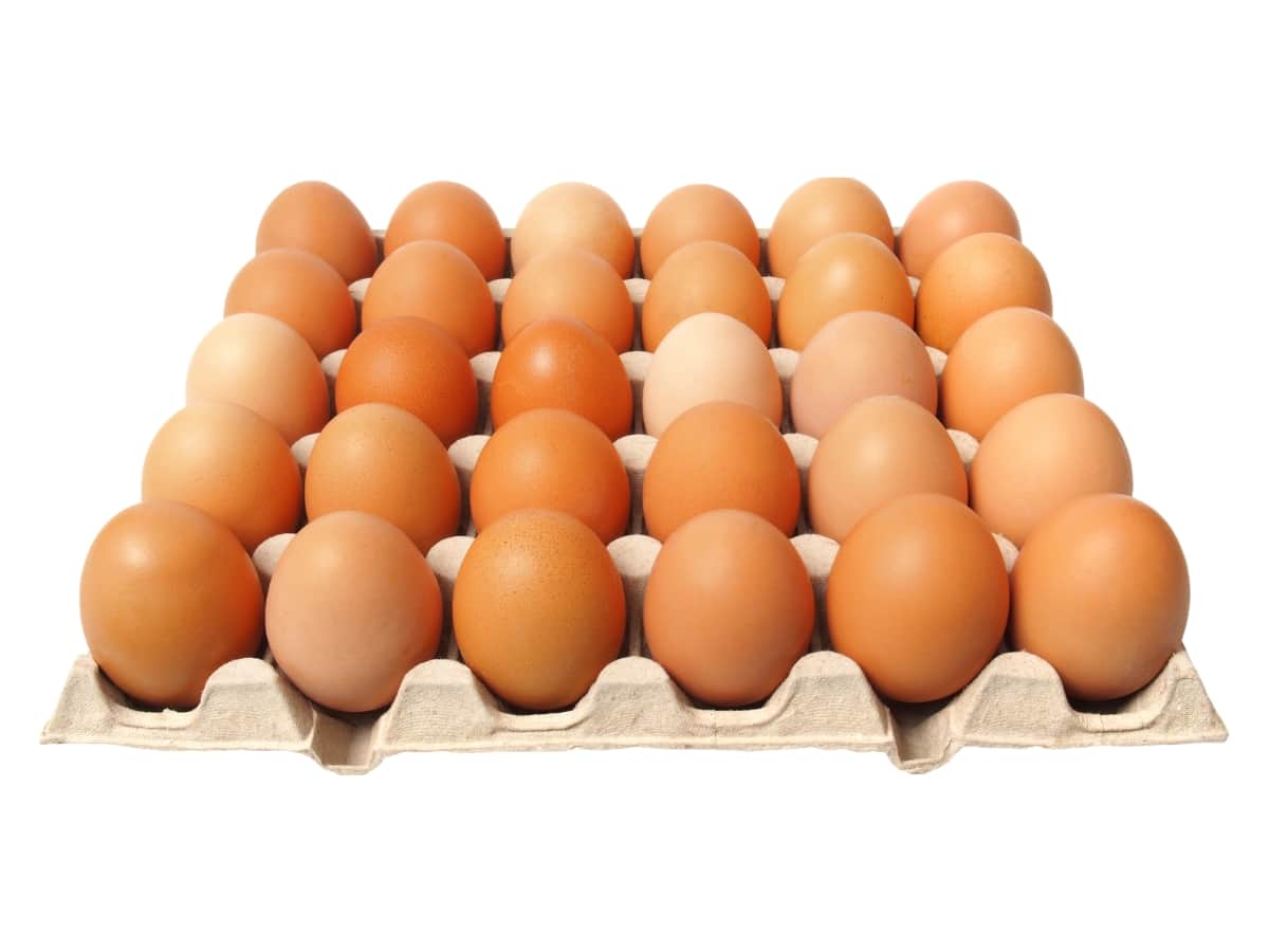 Tray of Eggs